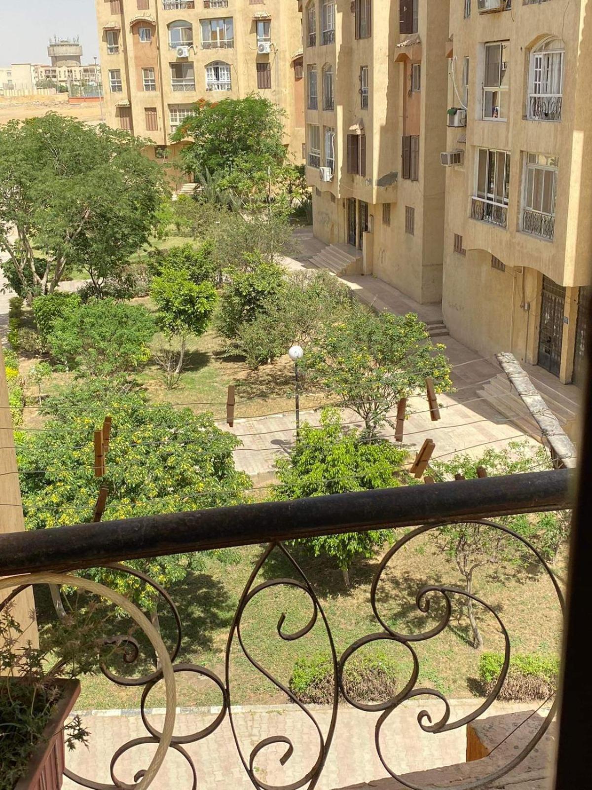 المهندسين الدقي الزمالك التجمع العاصمة * Cairo