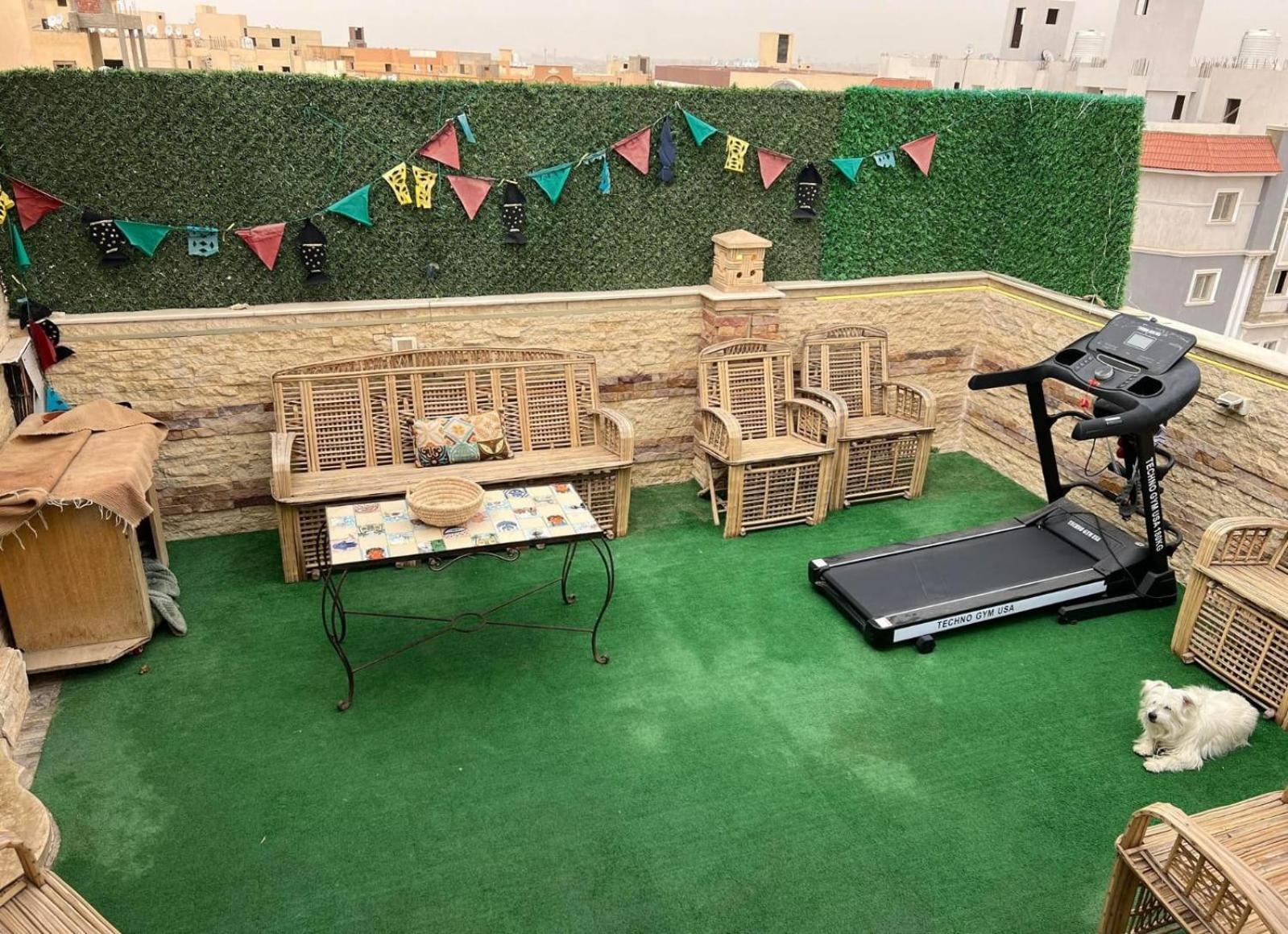 المهندسين الدقي الزمالك التجمع العاصمة Apartment